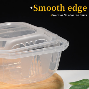 Lonchera Desechable Cuadrada de PP con Cierre Automático, Apta para Alimentos, con Bandeja y Tapa Fácil de Abrir, Ideal para Empacar <span class=keywords><strong>Pasta</strong></span>, Pastel, Frutas y Ensaladas - Product Image 3