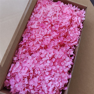 Flores de Hortensia Anna Preservadas de Grado AB con Tacto Natural en Caja para Decoraciones Hechas a Mano para Navidad y Bodas - Product Image 6