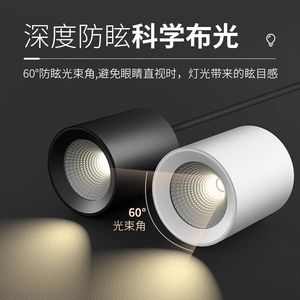 โคมไฟเพดานทรงกระบอกมินิมอลสีดำขาว LED สำหรับภายในอาคาร มุมลำแสง 120 องศา RGBW CRI สูง 90 ปรับความสว่างได้ด้วยรีโมท - Product Image 2