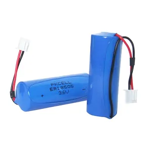 Batterie au lithium, grande capacité, 3.6v, er18505, pour compteur d'eau