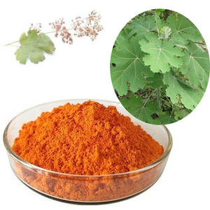 Extrait de <span class=keywords><strong>Macleaya</strong></span> Cordata Chelidonine Protopine Chelidonine Monohydrate Chelido Poudre - Product Image 2