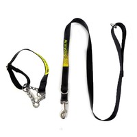 Laisse de dressage et de traction spéciale pour chien de grande taille, collier de base pour chien de travail