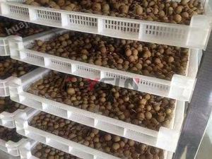 Machine de séchage à pompe à chaleur pour tofu, vente chaude en usine, acier inoxydable 304, sécheuse à plateau pour tofu, four de transformation alimentaire - Product Image 5