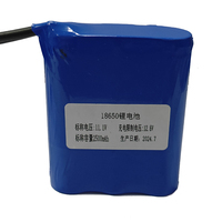 Paket Baterai Lithium Ion NIBT 18650 Kapasitas Tegangan Kustom, Paket Baterai Li-ion Isi Ulang untuk Lampu Tenaga Surya dan Peralatan Rumah Tangga