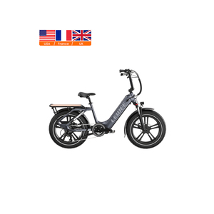 Promotion limitée vélo cargo électrique 750W 20 pouces gros pneu cadre en aluminium vélo cargo familial à vendre - Product Image 1