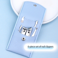Ensemble de soins des ongles en acier inoxydable 6 pièces avec coupe-ongles 6 en 1, outils de manucure classiques durables et portables dans une boîte colorée