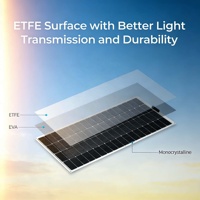 Paneles Solares Monocristalinos de Silicio ETFE de Alta Eficiencia 100w 200w 250w 300w 350w 400w Personalizables y Flexibles