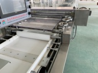 Machine de découpe automatique spécialisée dans les sachima - Acier inoxydable 304, découpe continue, 300-400 kg/h pour les bonbons aux cacahuètes/au sésame