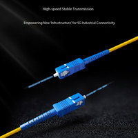 Cable Óptico de Ramificación Monomodo de 12 Núcleos SC-SC, Cable de Fibra Preterminado, Línea de Fibra de Ramificación con Cubierta Exterior de PVC