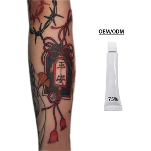 ชุดสีไมโครเบลดดิ้งพรีเมียม 10 มล. ปี 2025 พร้อมครีมสัก 75% ผิวฝึกหัดสัก ขายส่งโดยตรง - Product Image 4