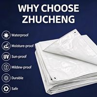 Bâche PE imperméable de marque Xuda en gros avec service de découpe, résistante aux UV, maille 6x6-16x16, MOQ 10 tonnes
