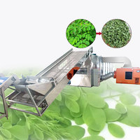 Machine de déshydratation automatique des feuilles de Moringa, ligne de production industrielle de lavage, séchage, broyage et emballage des feuilles de Moringa