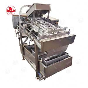 Nouvelle machine automatique d'épluchage et de déveinage de crevettes pour les usines de produits alimentaires et de boissons Capacité 50 kg/h 220V/380V - Product Image 4
