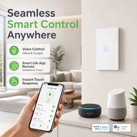 CETLus FCC Sakelar Lampu Sentuh Pintar WiFi 1-Gang 10A 125V Standar AS UL94 V1 Tahan Api untuk Alexa Google Home