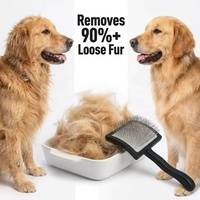 Brosse professionnelle pour toilettage canin, brosse à poils pour chiens et chats, peigne pour animaux de compagnie avec des picots extra longs, élimine efficacement les nœuds, peigne pour chien