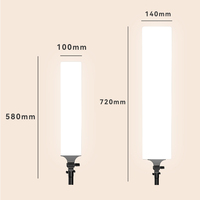 Lumière LED vidéo 58CM 72CM avec télécommande pour photographie, éclairage d'appoint pour YouTube, studio photo, fête, mariage