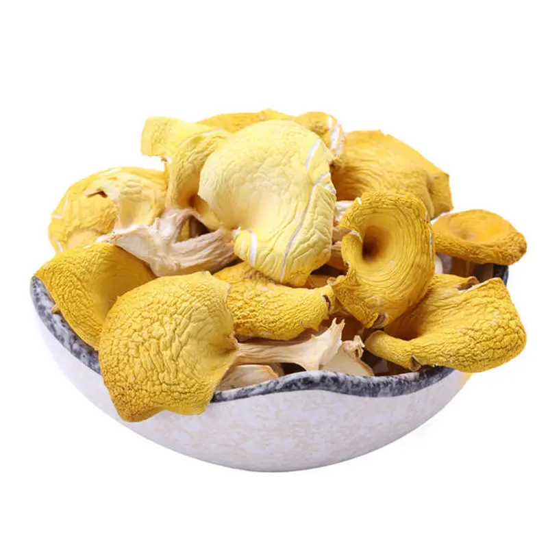 Ji you jun funghi Chanterelle secchi gialli dorati in vendita