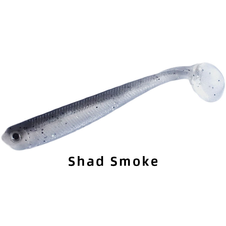 Fumée de shad