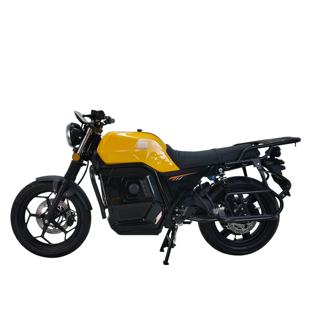 D300 High-power Electric Vehicle Factory Hot Sale 5000W 70km/h Electric Off-road Motorcycle Electric Motorcycle