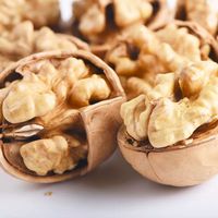 Gedroogde dunne walnoten, bulk, puur natuurlijk, gezonde noten, smakelijke walnoten, verse gepelde dunne walnoten