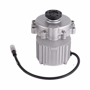 Motor de brida sin escobillas de CC de 24V 250W con imán permanente para silla de ruedas eléctrica, bicicleta eléctrica y robot, velocidad de 100 rpm, voltaje nominal de 12V - Product Image 1