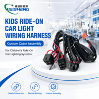 Faisceau de câblage personnalisé pour voiture électrique enfant 6V 12V 24V avec télécommande