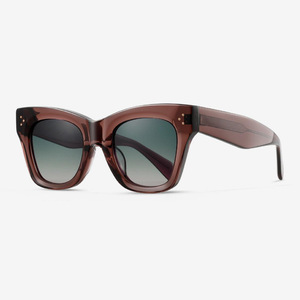 2024 cao cấp retro Cat Eye Sunglasses Acetate Retro chùm đôi cá nhân kính mát Khung ống kính với bán buôn biểu tượng tùy chỉnh - Product Image 6