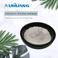 Premium Gesproeid Gedroogd Kokosnootpoeder 25Kg Puur Kokoswatersap Poeder