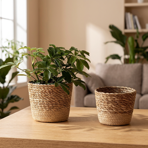 Natural Seagrass Storage <b>Basket</b> Rustic Style <b>Plant</b> Pot Eco-Friendly Bowl Shape <b>for</b> Indoor Use - Product Image 4