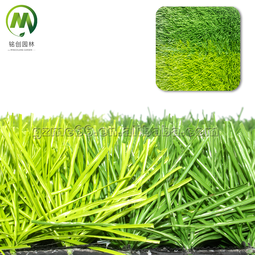 2 colors grass A