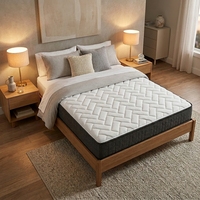 Promotion Fabricant : Ensemble de Lit Double Personnalisé avec Matelas en Mousse Compressible et Roulé en Boîte