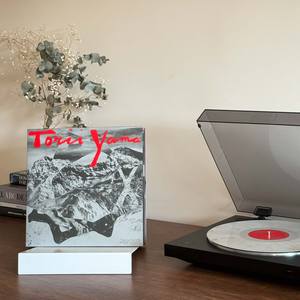 Supporto per Dischi in Vinile da Tavolo Isak in Metallo, Acciaio Verniciato a Polvere Opaca, Stile Industriale Moderno per Soggiorno e Studio, Porta CD da Tavolo - Product Image 3
