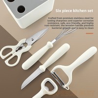 Keuken Essentials 6-delige handmatige roestvrijstalen fruit- en groenteschillerset met opberghouder, inclusief schaar en garde