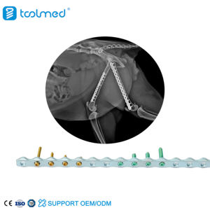 Plat Pengunci Osteosintesis Ortopedi Hewan Kecil Titanium TOOLMED 1.6/2.4/3.2/4.0mm Alat Habis Pakai CE - Product Image 4