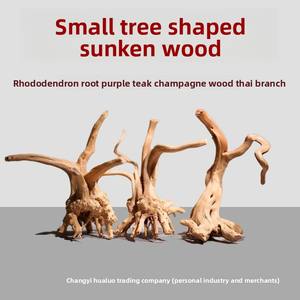 Klein Formaat Natuurlijk Paars Hart Hout Decoratie Milieuvriendelijke Rododendron Wortel Aquarium Drijfhout Tak Voor Beginners Micro - Product Image 5