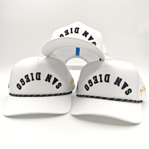 Trendy 5 Panel <b>Waterproof</b> Golf Cap Custom Embroidery Logo Low MOQ OEM Laser Perforated Breathable Quick Dry Performance Headgear - Product Image 2