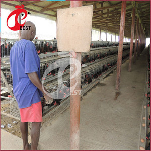 Nouveau design 5 niveaux 200 oiseaux poules pondeuses poulet couche de grillage et chaudière cage avec haute qualité - Product Image 1