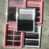 Segment Cluster Lashes Hand Made Individual Mix Curl Natural Faux Mink DIY Lash Clusters Kit Logo personnalisé Fan Eyelashes