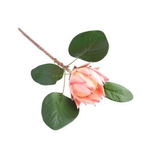 <span class=keywords><strong>Precio</strong></span> de fábrica de alta final emulación elegante cabeza grande artificial rey protea flor - Product Image 3