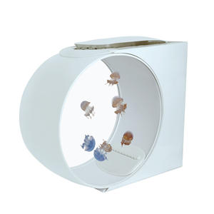 Topverkochte Chinese mini-<span class=keywords><strong>aquarium</strong></span> met LED-verlichting op tafel, aquariumkast voor huisdieren. - Product Image 2