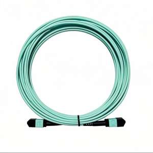 Multimode סיבים משוריין סיב אופטי jumper Om3/om4 MPO-MPO/lc 40 גרם/100g לילך חומר סיב אופטי אורך מרכז הנתונים להתאמה אישית - Product Image 1