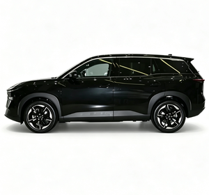 SUV Eléctrico Mediano de 4 Puertas y 5 Plazas, Batería de Litio, Autonomía NEDC >700 km, Vehículo de Nueva Energía - Product Image 6