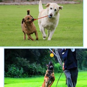 Os à mâcher et balle jouet durables pour chien, non toxiques, résistants aux morsures, pour le nettoyage des dents, le soulagement de l'ennui et le jeu quotidien - Product Image 2
