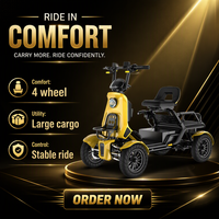 Scooter électrique S20-15 avec frein électromagnétique |   Moteur d'essieu arrière 500W, batterie au lithium 48V pour utilisation en usine, dans les parcs et sur les campus