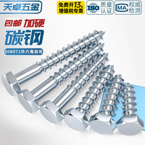 สกรูเกลียวปล่อย Tianzhuo รุ่น M6 M8 M10 M12 M16 หัวหกเหลี่ยม ชุบสังกะสี เหล็กกล้าคาร์บอน สำหรับงานก่อสร้าง - Product Image 2