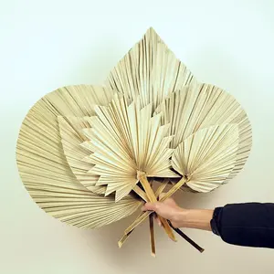 Oferta Especial: Hojas de <span class=keywords><strong>Palma</strong></span> Secas de Gran Tamaño, Decoración con <span class=keywords><strong>Flores</strong></span> Secas, <span class=keywords><strong>Flores</strong></span> para Bodas - Product Image 5