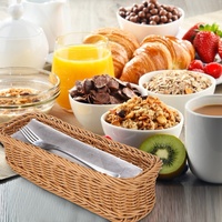 Panier de rangement en rotin PP lavable avec poignée, plateau de service en osier de qualité alimentaire pour restaurant et cuisine, certifié LFGB