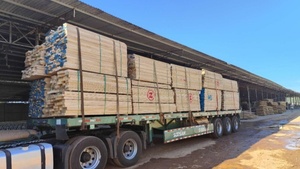 Construcción de alta calidad 2x4 Madera de pino Madera de madera con OEM/ODM Tamaño personalizado Precio barato para uso en edificios - Product Image 3