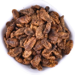 Pupas de gusano de seda secas de China de calidad garantizada para pupas de gusano de seda secas <span class=keywords><strong>Koi</strong></span> alimento para pájaros salvajes para alimentación - Product Image 4