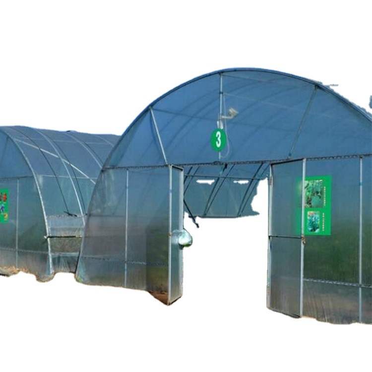 Galvanized Material Single span Agriculture Film